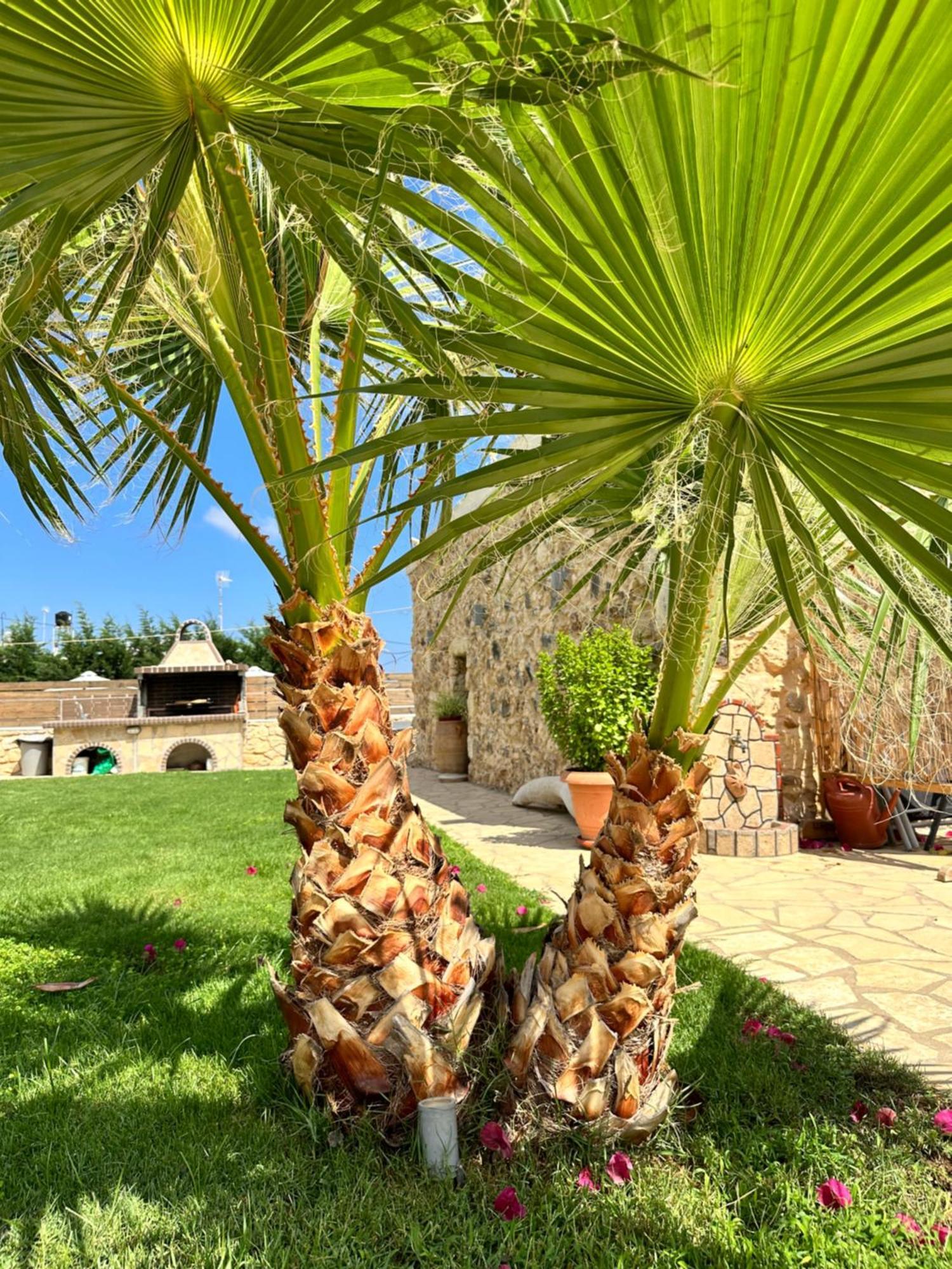 Вилла Bio Garden Stonehouse Gonia Экстерьер фото